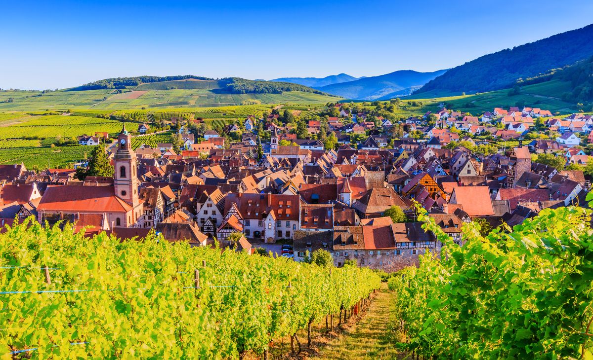 L’Alsace et la Forêt Noire - De part et d’autre du Rhin