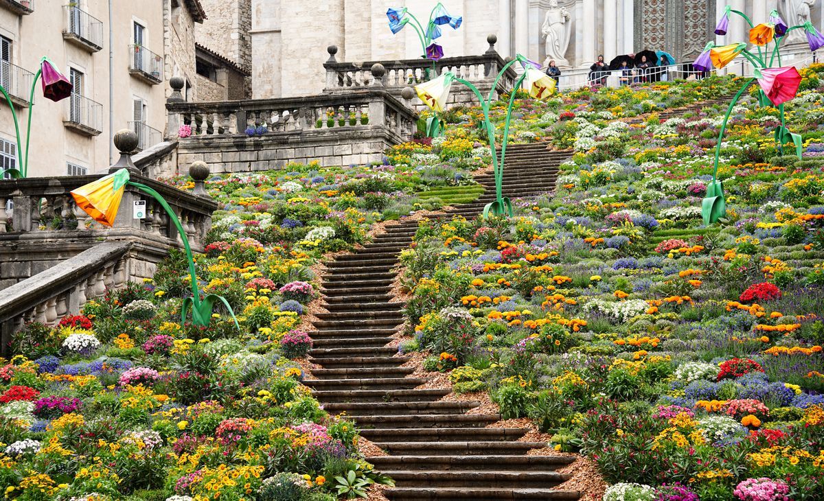 La Costa Brava fête les fleurs, Séjour à Rosas